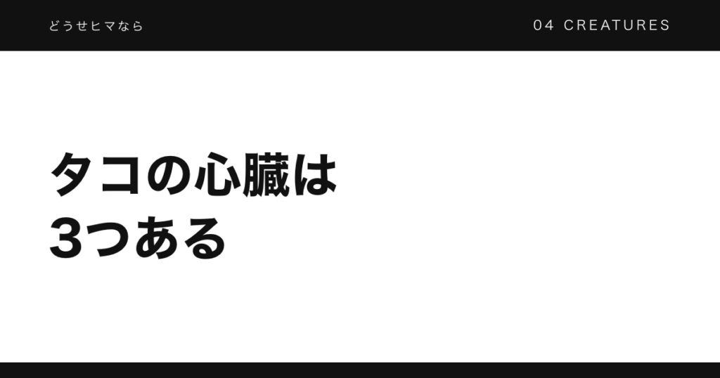 タコの心臓は3つある