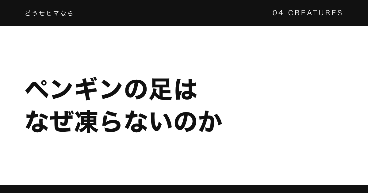 ペンギンの足はなぜ凍らないのか