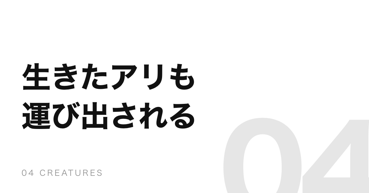 アリは仲間の死を匂いで判断する