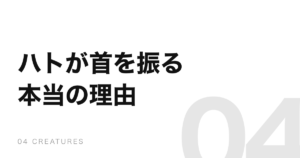 ハトが歩くたびに首を振るのは、景色を止めて見るため