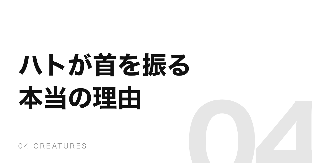 ハトが歩くたびに首を振るのは、景色を止めて見るため