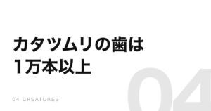カタツムリの歯は1万本以上ある。舌の上に並ぶヤスリの正体
