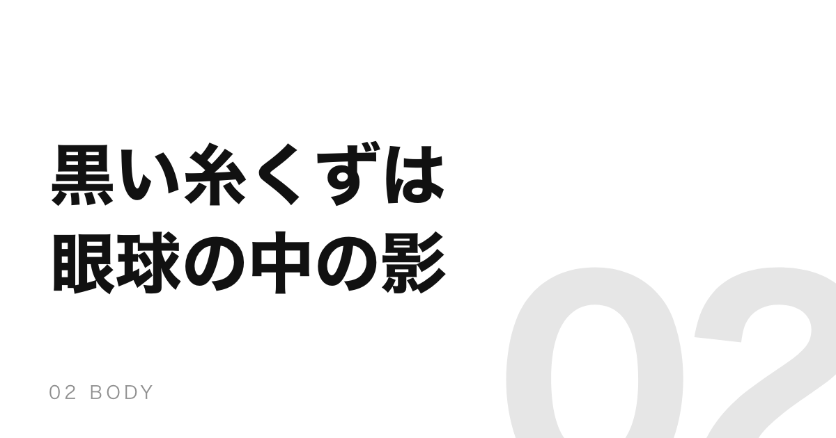 目の前の黒い糸くずは、追いかけても逃げる。正体は眼球の中の影