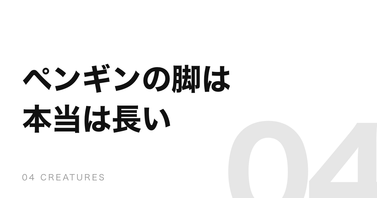 ペンギンの脚は本当は長い。膝は体の中で、ずっと曲がっている
