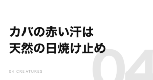 カバの「血の汗」は血ではない。日焼け止めと抗菌を兼ねていた