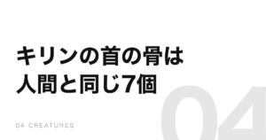 キリンの首の骨は7個。人間と同じで、1個が28センチ以上