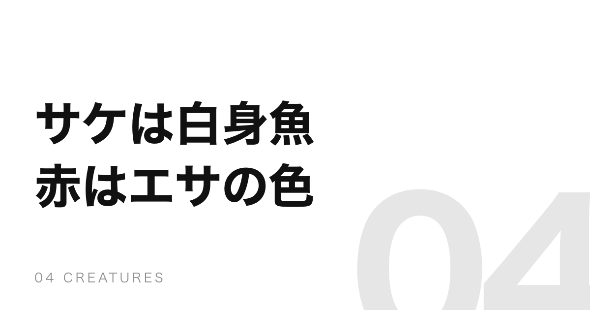 サケは白身魚。あの赤はエビやカニと同じ色素で、エサで決まる